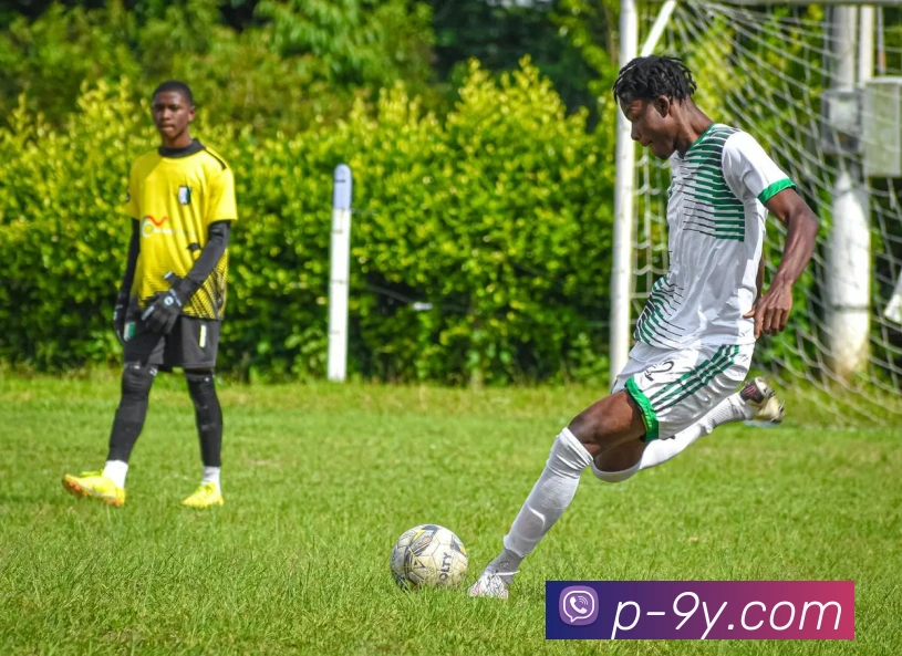 九游官网服务体系